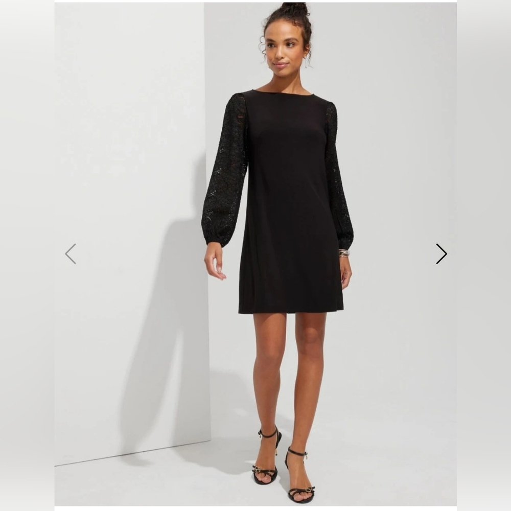 Elegant Black Dress with Lace Sleeves